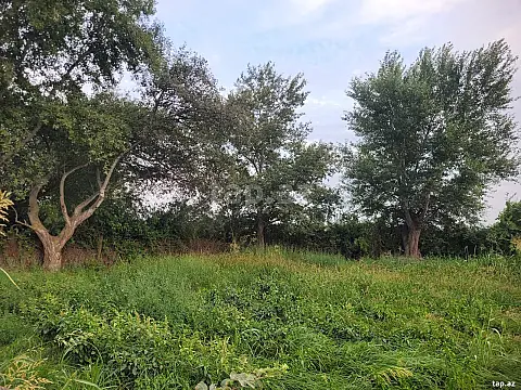 Satılır torpaq sahəsi — Salyan