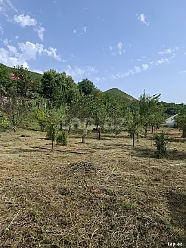 Satılır torpaq sahəsi — Şəki
