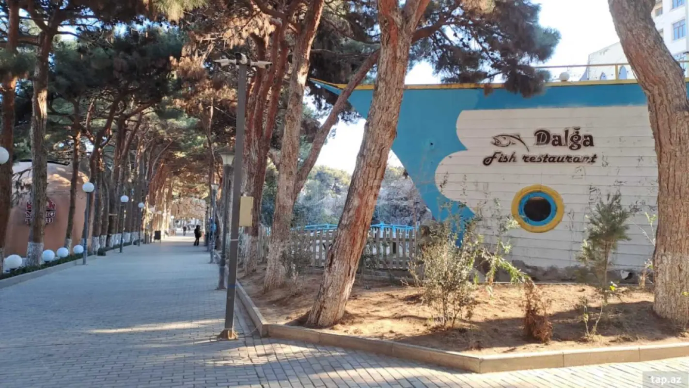 Kirayə verilir 3 otaqlı həyət evi 70 m²