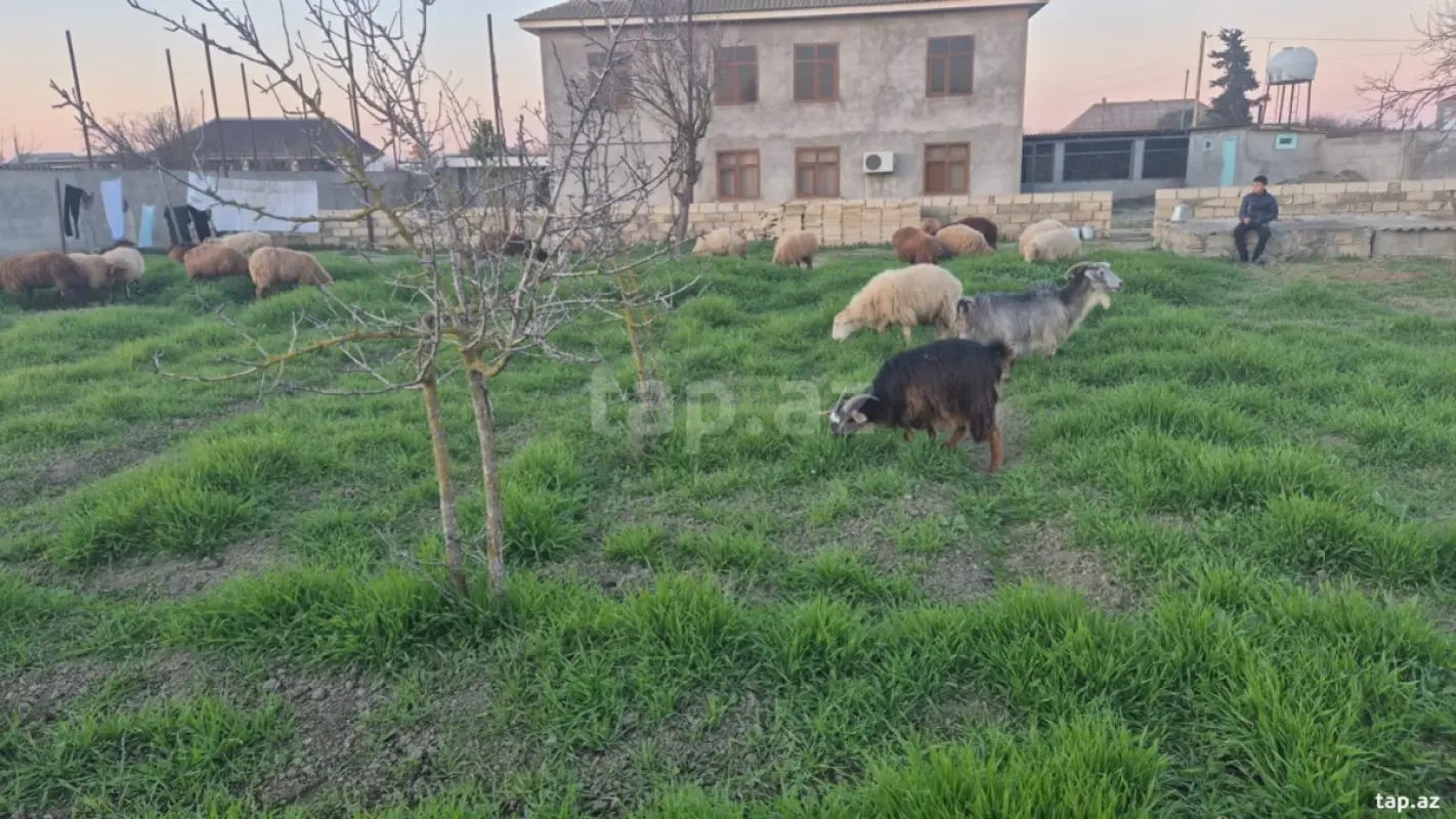 Satılır 6 otaqlı həyət evi 200 m²
