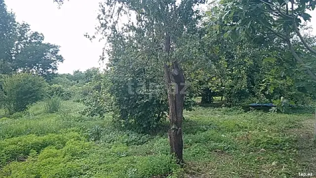 Satılır torpaq sahəsi — Zaqatala