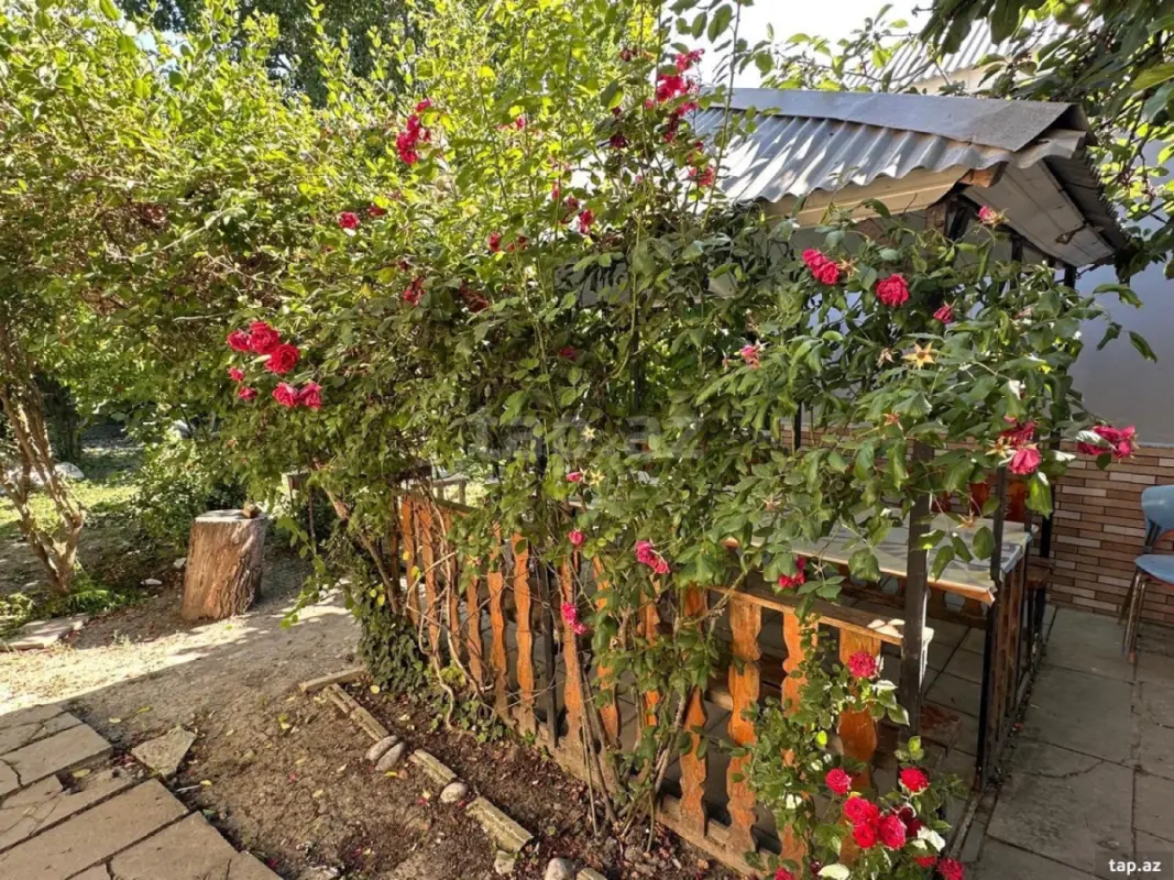 Kirayə verilir 3 otaqlı həyət evi 50 m²