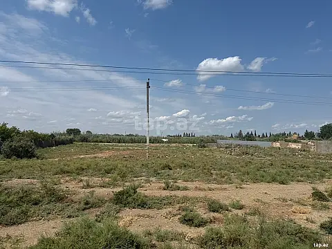 Satılır torpaq sahəsi — Salyan