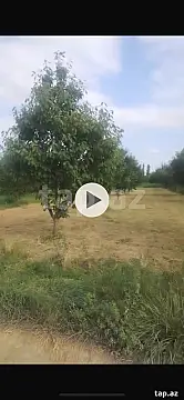 Satılır torpaq sahəsi — Quba