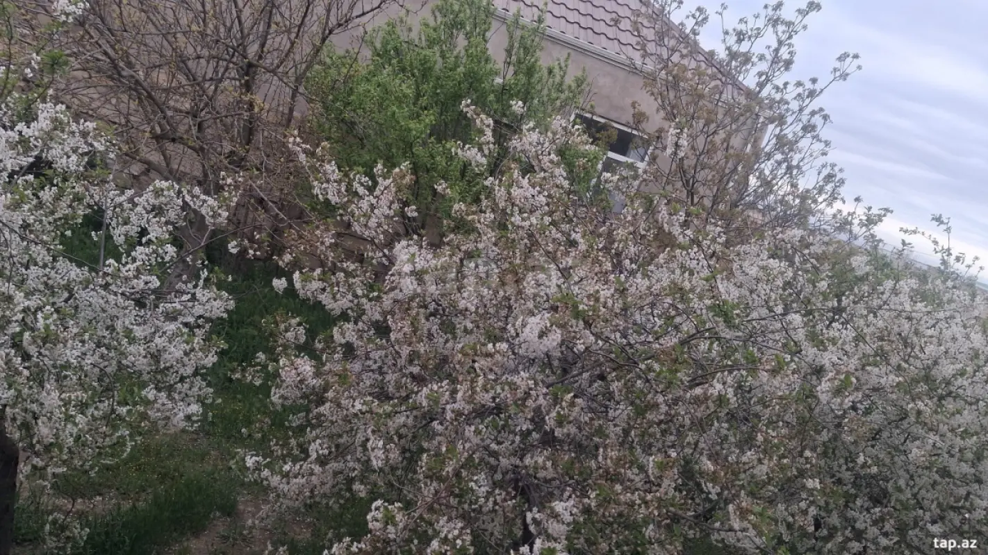 Satılır 3 otaqlı həyət evi 80 m²