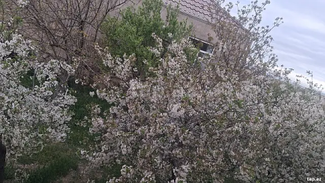 Satılır 3 otaqlı həyət evi 80 m² — Bakı, Hökməli 3 otaq 80.00 m²
