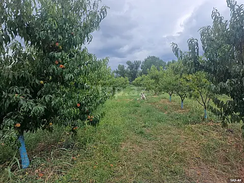 Satılır torpaq sahəsi — Quba