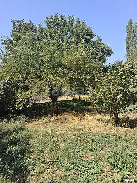 Satılır torpaq sahəsi — Bakı