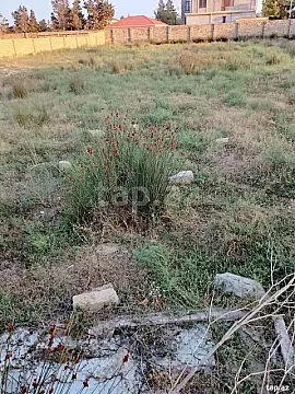 Satılır torpaq sahəsi — Bakı
