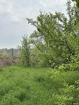 Satılır torpaq sahəsi — Göygöl