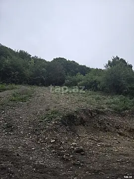 Satılır torpaq sahəsi — Qusar