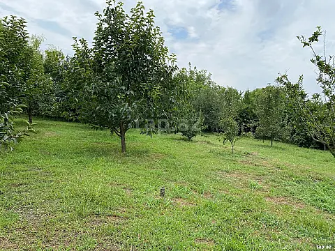 Satılır torpaq sahəsi — Xaçmaz
