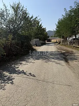 Satılır torpaq sahəsi — Qəbələ