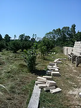 Satılır torpaq sahəsi — Xaçmaz