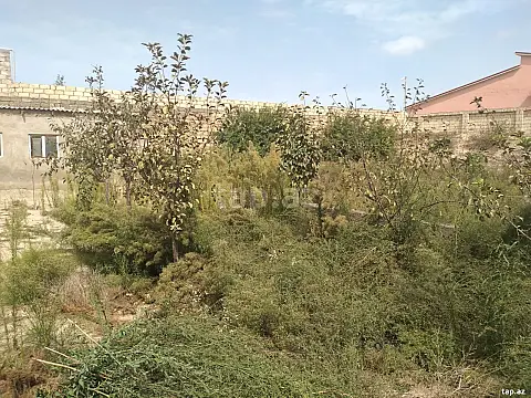 Satılır torpaq sahəsi — Bakı
