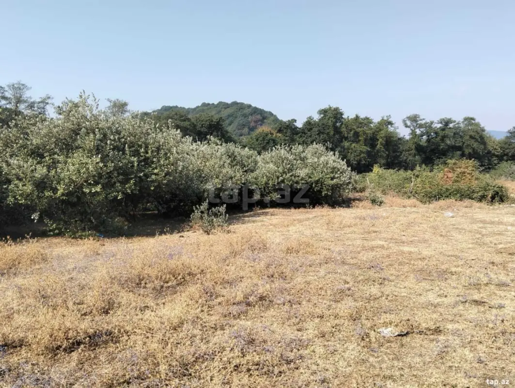 Satılır 4 otaqlı həyət evi 45 m²
