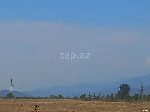Satılır torpaq sahəsi — İsmayıllı