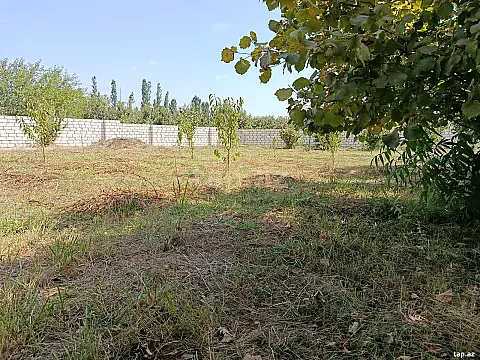 Satılır torpaq sahəsi — Xaçmaz