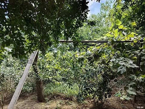 Satılır torpaq sahəsi — Bakı, Binə