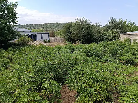 Satılır torpaq sahəsi — Şabran