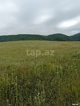Satılır torpaq sahəsi — Şamaxı