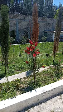 Satılır torpaq sahəsi — Bakı, Mərdəkan