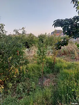 Satılır torpaq sahəsi — Sumqayıt