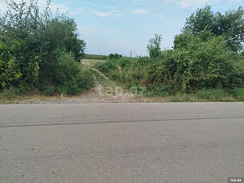 Satılır torpaq sahəsi — Xaçmaz
