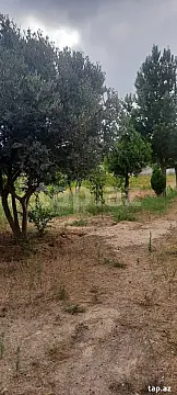 Satılır torpaq sahəsi — Bakı, Buzovna
