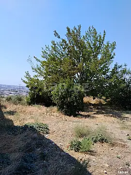Satılır torpaq sahəsi — Bakı, Masazır