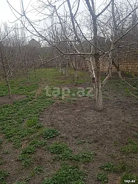 Satılır torpaq sahəsi — Bakı