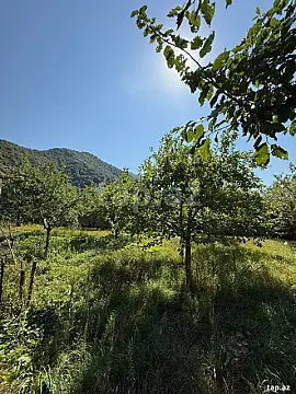 Satılır torpaq sahəsi — İsmayıllı
