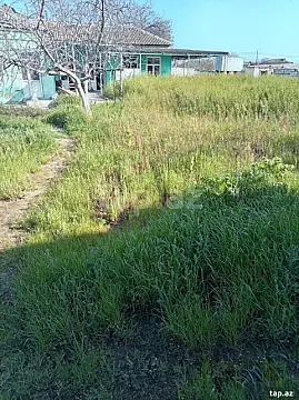 Satılır torpaq sahəsi — Bakı, Nardaran