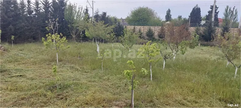 Satılır torpaq sahəsi — Bakı, Novxanı