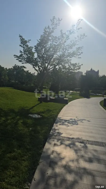 Kirayə verilir 4 otaqlı yeni tikili 219 m²