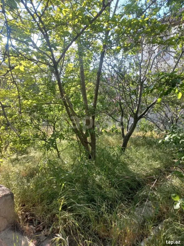Satılır 6 otaqlı həyət evi 150 m²
