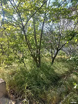 Satılır 6 otaqlı həyət evi 150 m² — Bakı, Novxanı 6 otaq 150.00 m²