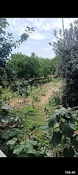 Satılır torpaq sahəsi — Astara