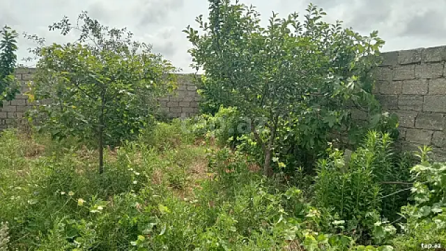 Satılır 3 otaqlı həyət evi 70 m² — Bakı, Buzovna 3 otaq 70.00 m²