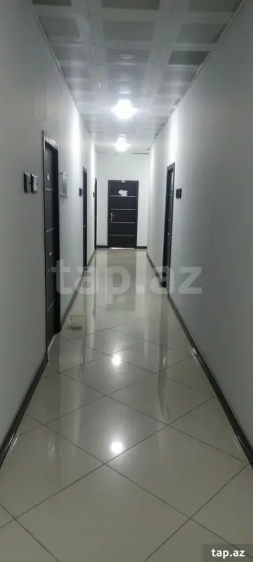 Kirayə verilir ofis
