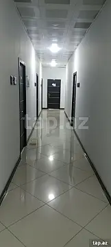 Kirayə verilir ofis — Bakı