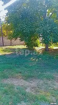 Satılır torpaq sahəsi — Ağcabədi