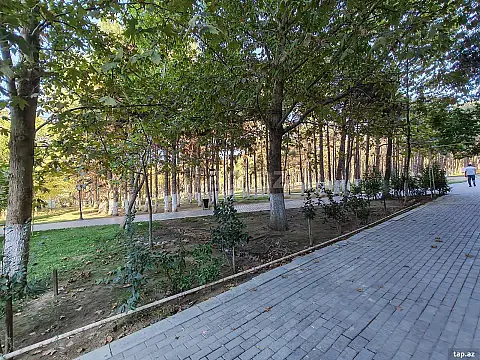 Kirayə verilir obyekt — Bakı, Xırdalan