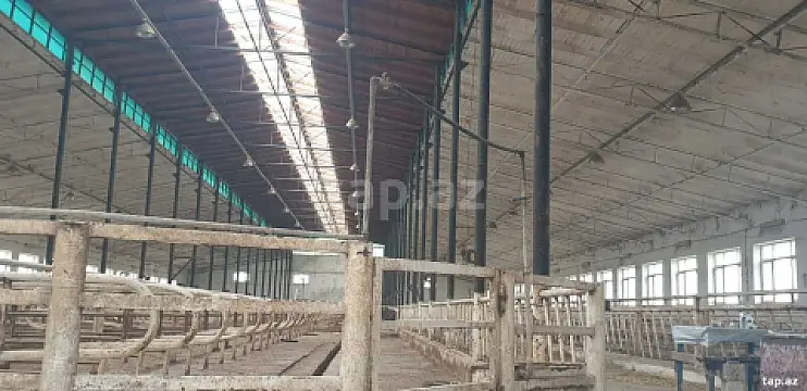 Kirayə verilir obyekt — Bakı