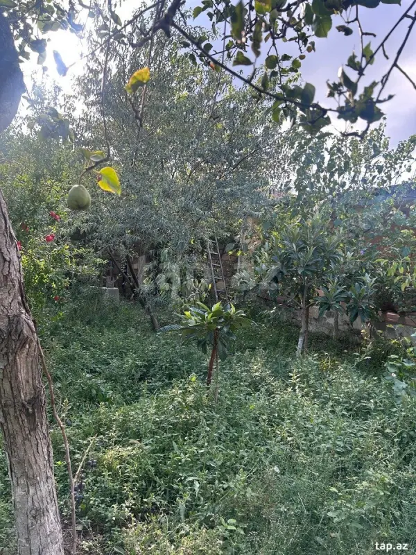 Kirayə verilir 3 otaqlı həyət evi 200 m²
