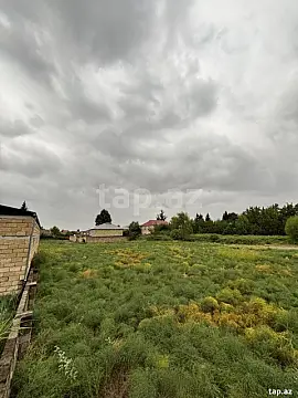 Satılır torpaq sahəsi — Masallı