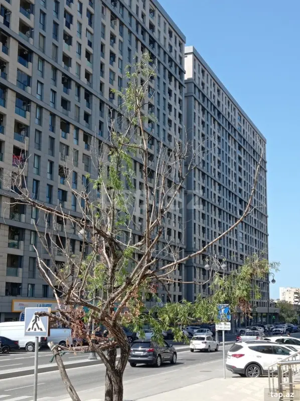 Satılır 3 otaqlı yeni tikili 73.1 m²
