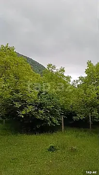 Satılır torpaq sahəsi — Qəbələ