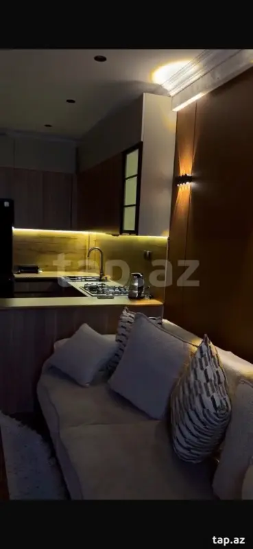 Kirayə verilir 1 otaqlı yeni tikili 20 m²