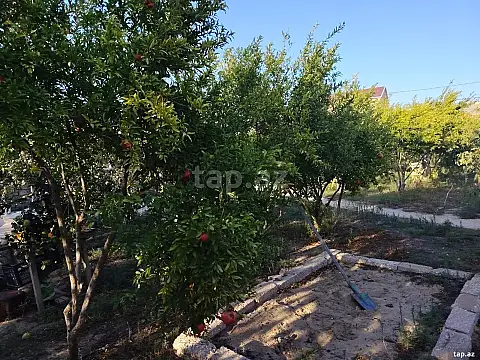 Satılır torpaq sahəsi — Bakı, Buzovna